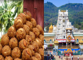 Tirupati Temple Laddu Controversy: Allegations of Cow Fat and Fish Oil in Sacred Offering