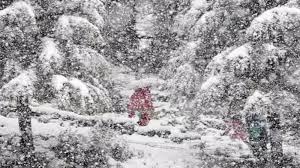 Early Snowfall Hits Himachal & Uttarakhand, IMD Issues Yellow Alert