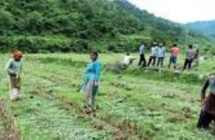 Uttarakhand to Develop 7 Aroma Valleys, Target ₹1,200 Crore Aromatic Crop Market in 10 Years